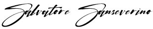 firma logo sanseverino napoli